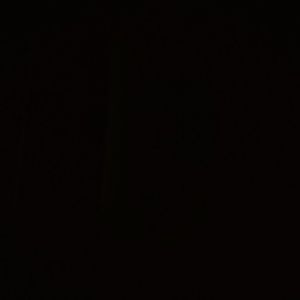 Meet your Posher, Queen